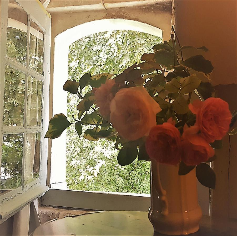 La Maison Céladon Prunay-Cassereau Extérieur photo
