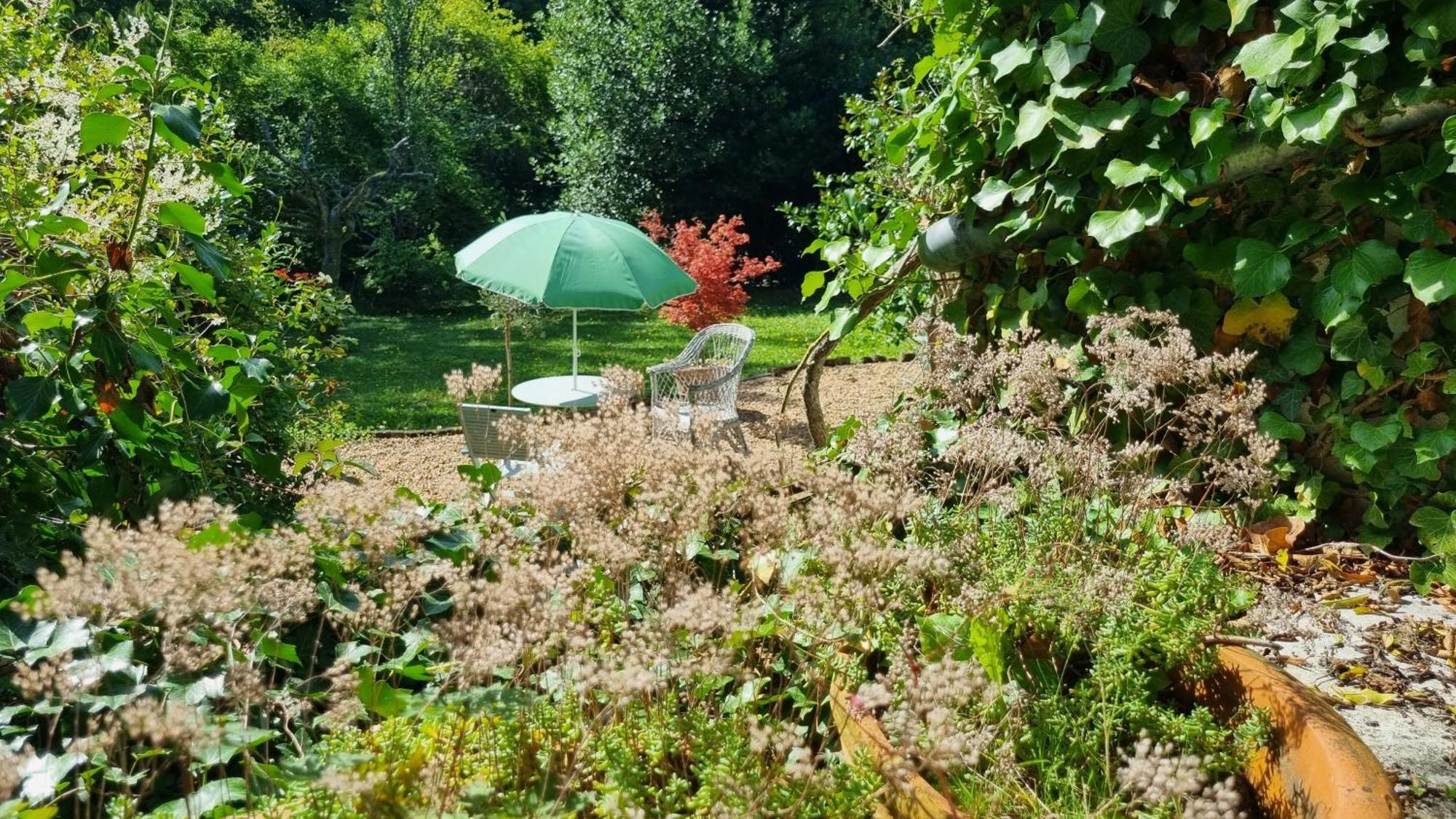 La Maison Céladon Prunay-Cassereau Extérieur photo